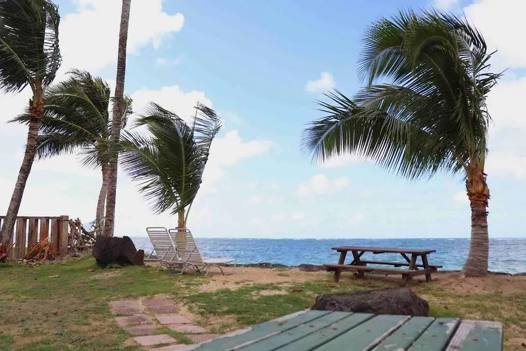 Punalu'U Ocean Paradise - Oceanfront Beach House Punaluu 0*,  Ηνωμένες Πολιτείες της Αμερικής